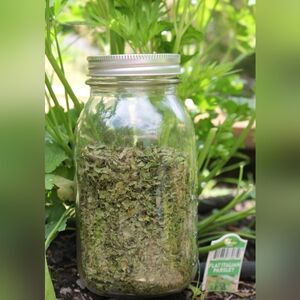 Parsley from my garden!!!!!